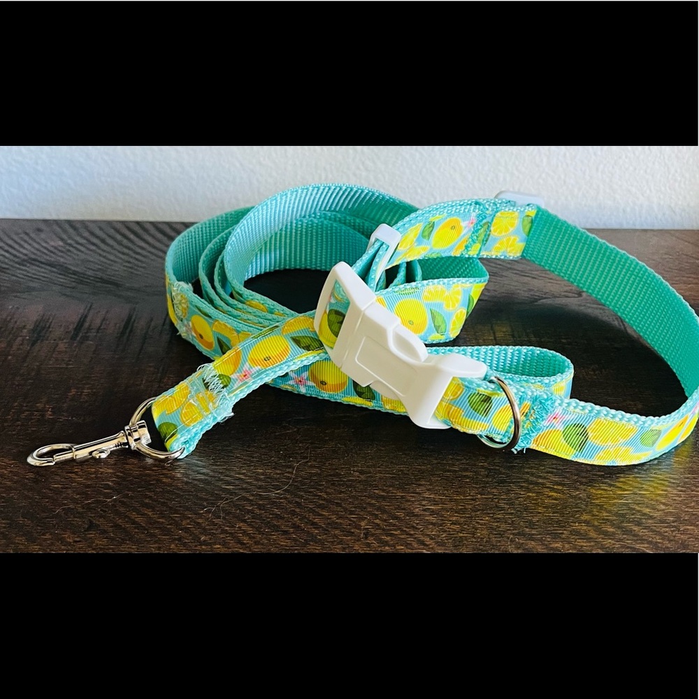Lemon Print Dog Leash and Collar Set New